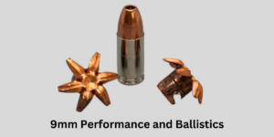 Performance and Ballistics